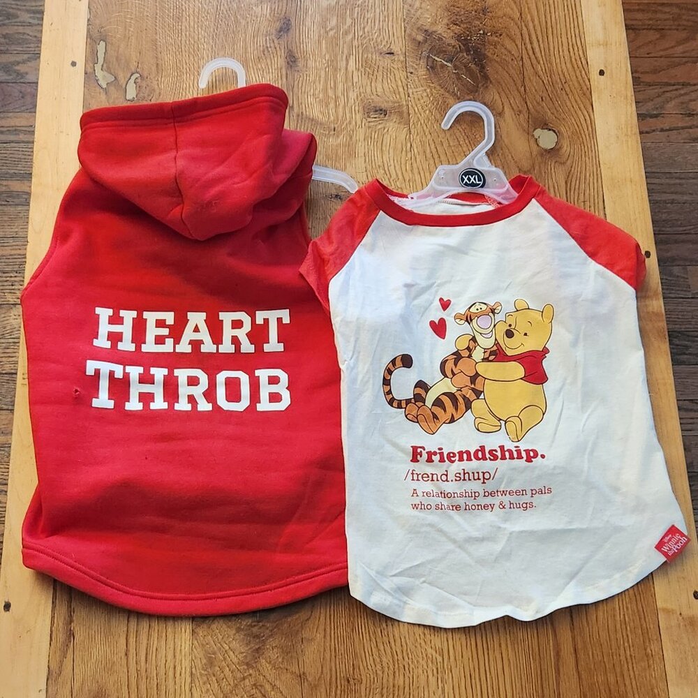 Big Dog Shirt and Hoodie